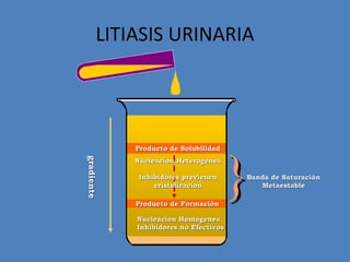 LITIASIS URINARIA




            Producto de Solubilidad




                                       }
gradiente
gradiente




            Nucleacion Heterogenea

             Inhibidores previenen         Banda de Saturación
                 cristalizacion               Metaestable

            Producto de Formación

            Nucleacion Homogenea
            Inhibidores no Efectivos
 