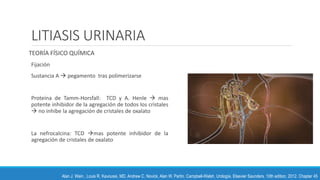 LITIASIS URINARIA
TEORÍA FÍSICO QUÍMICA
Fijación
Sustancia A  pegamento tras polimerizarse
Proteína de Tamm-Horsfall: TCD y A. Henle  mas
potente inhibidor de la agregación de todos los cristales
 no inhibe la agregación de cristales de oxalato
La nefrocalcina: TCD mas potente inhibidor de la
agregación de cristales de oxalato
Alan J. Wein , Louis R. Kavoussi, MD, Andrew C. Novick, Alan W. Partin. Campbell-Walsh, Urología. Elsevier Saunders. 10th edition, 2012. Chapter 45
 