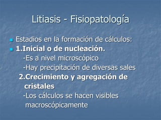 Litiasis - Fisiopatología
 Estadios en la formación de cálculos:
 1.Inicial o de nucleación.
-Es a nivel microscópico
-Hay precipitación de diversas sales
2.Crecimiento y agregación de
cristales
-Los cálculos se hacen visibles
macroscópicamente
 