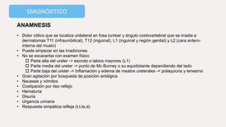 DIAGNÓSTICO
ANAMNESIS
• Dolor cólico que se localiza unilateral en fosa lumbar y ángulo costovertebral que se irradia a
dermatomas T11 (infraumbilical), T12 (inguinal), L1 (inguinal y región genital) y L2 (cara antero-
interna del muslo)
• Puede empezar en las irradiciones
• No se excacerba con examen físico
 Parte alta del ureter -> escroto o labios mayores (L1)
 Parte media del ureter -> punto de Mc Burney o su equidistante dependiendo del lado
 Parte baja del ureter -> Inflamación y edema de meatos ureterales -> polaquiuria y tenesmo
• Gran agitación por búsqueda de posición antálgica
• Nauseas y vómitos
• Costipación por íleo reflejo
• Hematuria
• Disuria
• Urgencia urinaria
• Respuesta simpática refleja (t,t,ta,d)
 