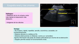 Ecografía renal y vías urinarias
Hallazgos:
- Dilatación de la vía urinaria, entre
más rápida la instauración más
dilatación.
- Imágenes de los cálculos
Ventaja:
- No invasivo, rápido, repetible, sencillo, económico, accesible, sin
contraindicaciones.
- Detecta cálculos no visibles en Rx.
- Detecta obstrucciones no litiásicas (como p.e. tumorales)
-Aporta información del grado de ectasia pielocalicial por encima de la obstrucción.
- Doppler permite evaluar el funcionamiento renal..
 