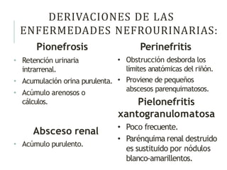 DERIVACIONES DE LAS
ENFERMEDADES NEFROURINARIAS:
Pionefrosis
• Retención urinaria
intrarrenal.
• Acumulación orina purulenta.
• Acúmulo arenosos o
cálculos.
Absceso renal
• Acúmulo purulento.
Perinefritis
• Obstrucción desborda los
límites anatómicas del riñón.
• Proviene de pequeños
abscesos parenquimatosos.
Pielonefritis
xantogranulomatosa
• Poco frecuente.
• Parénquima renal destruido
es sustituido por nódulos
blanco-amarillentos.
 