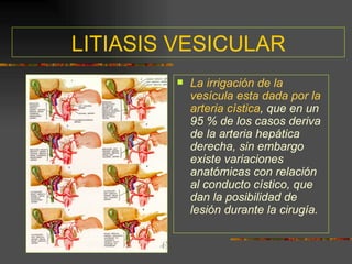 LITIASIS VESICULAR
           La irrigación de la
            vesícula esta dada por la
            arteria cística, que en un
            95 % de los casos deriva
            de la arteria hepática
            derecha, sin embargo
            existe variaciones
            anatómicas con relación
            al conducto cístico, que
            dan la posibilidad de
            lesión durante la cirugía.
 