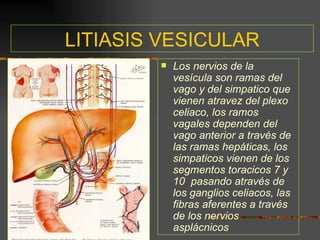 LITIASIS VESICULAR
           Los nervios de la
            vesícula son ramas del
            vago y del simpatico que
            vienen atravez del plexo
            celiaco, los ramos
            vagales dependen del
            vago anterior a través de
            las ramas hepáticas, los
            simpaticos vienen de los
            segmentos toracicos 7 y
            10 pasando através de
            los ganglios celiacos, las
            fibras aferentes a través
            de los nervios
            asplácnicos
 