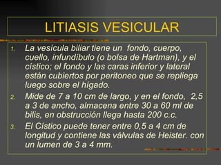 LITIASIS VESICULAR
1.   La vesícula biliar tiene un fondo, cuerpo,
     cuello, infundíbulo (o bolsa de Hartman), y el
     cístico; el fondo y las caras inferior y lateral
     están cubiertos por peritoneo que se repliega
     luego sobre el hígado.
2.   Mide de 7 a 10 cm de largo, y en el fondo, 2,5
     a 3 de ancho, almacena entre 30 a 60 ml de
     bilis, en obstrucción llega hasta 200 c.c.
3.   El Cístico puede tener entre 0,5 a 4 cm de
     longitud y contiene las válvulas de Heister. con
     un lumen de 3 a 4 mm.
 