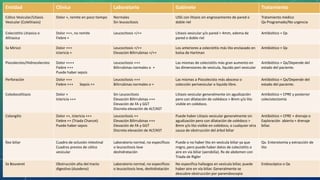 Triada Rigeler LITIASIS VESICULAR .pdf