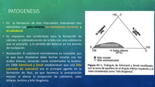 PATOGENESIS
• En la formación de litos intervienen intervienen tres
elementos: Las sales biliares, los fosfolípidos (lecitina) y
el colesterol.
• Se requieren dos condiciones para la formación de
cálculos: la sobresaturación de la bilis con una substancia
que se precipite y la pérdida del balance en los actores
de nucleación.
• Nucleación: El colesterol normalmente es insoluble, por
lo que para disolverse debe formar micelas con los
ácidos biliares, teniendo como estabilizador la lecitina.
En 1968 Admirand y Small establecieron que una bilis
saturada de colesterol era el principal agente en la
formación de litos, ya que favorecía la precipitación
micelar al alterar la proporción de colesterol, sales
biliares, lecitina y bilis litogénica
 