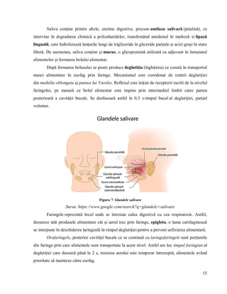 15
Saliva conţine printre altele, enzime digestive, precum amilaza salivară (ptialină), ce
intervine în degradarea chimică a polizaharidelor, transfomând amidonul în maltoză si lipază
linguală, care hidrolizează lanţurile lungi de trigliceride în gliceride parţiale şi acizi graşi în stare
liberă. De asemenea, saliva conţine şi mucus, o glicoproteină utilizată ca adjuvant în înmuiatul
alimentelor şi formarea bolului alimentar.
După formarea bolusului se poate produce deglutiţia (înghiţirea) ce constă în transportul
masei alimentare în esofag prin faringe. Mecanismul este coordonat de centrii deglutiţiei
din medulla oblongata şi puntea lui Varolio. Reflexul este iniţiat de receptorii tactili de la nivelul
faringelui, pe masură ce bolul alimentar este impins prin intermediul limbii catre partea
posterioară a cavităţii bucale. Se desfasoară astfel în 0,3 s timpul bucal al deglutiţiei, parţial
voluntar.
Figura 7 Glandele salivare
Sursa: https://www.google.com/search?q=glandele+salivare
Faringele reprezintă locul unde se întretaie calea digestivă cu cea respiratorie. Astfel,
deoarece atât produsele alimentare cât şi aerul trec prin faringe, epiglota, o lama cartilaginoasă
se interpune în deschiderea laringeală în timpul deglutiţiei pentru a preveni asfixierea alimentară.
Orofaringele, posterior cavităţii bucale ce se continuă cu laringofaringele sunt porţiunile
din faringe prin care alimentele sunt transportate la acest nivel. Astfel are loc timpul faringian al
deglutiţiei care durează până la 2 s, trecerea aerului este temporar întreruptă, alimentele având
prioritate să inainteze către esofag.
 