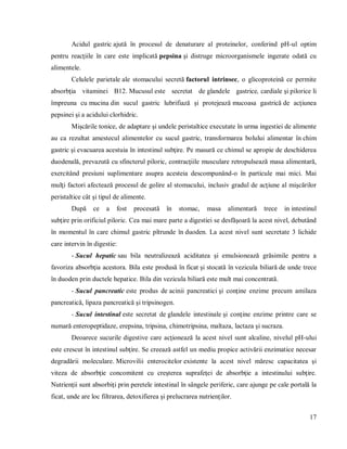 17
Acidul gastric ajută în procesul de denaturare al proteinelor, conferind pH-ul optim
pentru reacţiile în care este implicată pepsina şi distruge microorganismele ingerate odată cu
alimentele.
Celulele parietale ale stomacului secretă factorul intrinsec, o glicoproteină ce permite
absorbţia vitaminei B12. Mucusul este secretat de glandele gastrice, cardiale şi pilorice li
împreuna cu mucina din sucul gastric lubrifiază şi protejează mucoasa gastrică de acţiunea
pepsinei şi a acidului clorhidric.
Mişcările tonice, de adaptare şi undele peristaltice executate în urma ingestiei de alimente
au ca rezultat amestecul alimentelor cu sucul gastric, transformarea bolului alimentar în chim
gastric şi evacuarea acestuia în intestinul subţire. Pe masură ce chimul se apropie de deschiderea
duodenală, prevazută cu sfincterul piloric, contracţiile musculare retropulsează masa alimentară,
exercitând presiuni suplimentare asupra acesteia descompunând-o în particule mai mici. Mai
mulţi factori afectează procesul de golire al stomacului, inclusiv gradul de acţiune al mişcărilor
peristaltice cât şi tipul de alimente.
După ce a fost procesată în stomac, masa alimentară trece in intestinul
subţire prin orificiul piloric. Cea mai mare parte a digestiei se desfăşoară la acest nivel, debutând
în momentul în care chimul gastric pîtrunde în duoden. La acest nivel sunt secretate 3 lichide
care intervin în digestie:
- Sucul hepatic sau bila neutralizează aciditatea şi emulsionează grăsimile pentru a
favoriza absorbţia acestora. Bila este produsă în ficat şi stocată în vezicula biliară de unde trece
în duoden prin ductele hepatice. Bila din vezicula biliară este mult mai concentrată.
- Sucul pancreatic este produs de acinii pancreatici şi conţine enzime precum amilaza
pancreatică, lipaza pancreatică şi tripsinogen.
- Sucul intestinal este secretat de glandele intestinale şi conţine enzime printre care se
numară enteropeptidaze, erepsina, tripsina, chimotripsina, maltaza, lactaza şi sucraza.
Deoarece sucurile digestive care acţionează la acest nivel sunt alcaline, nivelul pH-ului
este crescut în intestinul subţire. Se creează astfel un mediu propice activării enzimatice necesar
degradării moleculare. Microvilii enterocitelor existente la acest nivel măresc capacitatea şi
viteza de absorbţie concomitent cu creşterea suprafeţei de absorbţie a intestinului subţire.
Nutrienţii sunt absorbiţi prin peretele intestinal în sângele periferic, care ajunge pe cale portală la
ficat, unde are loc filtrarea, detoxifierea şi prelucrarea nutrienţilor.
 