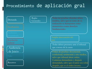 Procedimiento de aplicación gral
Demanda
Notificación
Audiencia
preparatoria
Resolución
Judicial
Audiencia
de Juicio
Fallo
Recursos
Reglas
Generales
Todas las pruebas ofrecidas deben
rendirse, salvo que en curso de su
realización se demuestren como
atentatorios contra derechos
fundamentales.
Amplia intervención del
juez
Todas deben prestarse ante el tribunal
que conoce de la causa
Orden de pruebas: documental,
confesional, testimonial y otro medios,
salvo que tribunal altere orden.
Comienza demandante y después
demandado, salvo que el juicio sea sobre
despido, que es el orden inverso.
 
