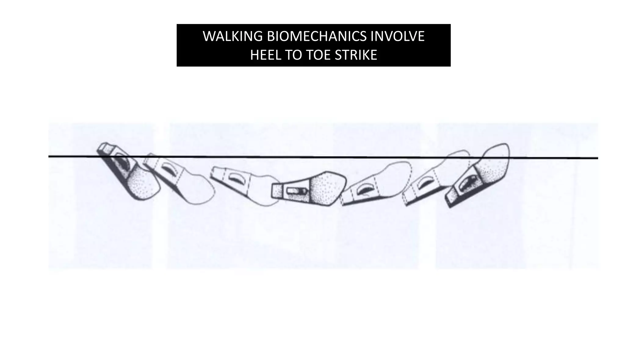 WALKING BIOMECHANICS INVOLVE
HEEL TO TOE STRIKE
 