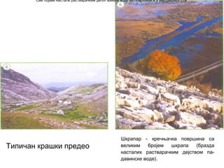 Све појаве настале растварачким дело- вањем воде на површини и у унутрашњо- сти

Типичан крашки предео

Шкрапар - кречњачка површина са
великим
бројем
шкрапа
(бразда
насталих растварачким дејством падавинске воде).

 