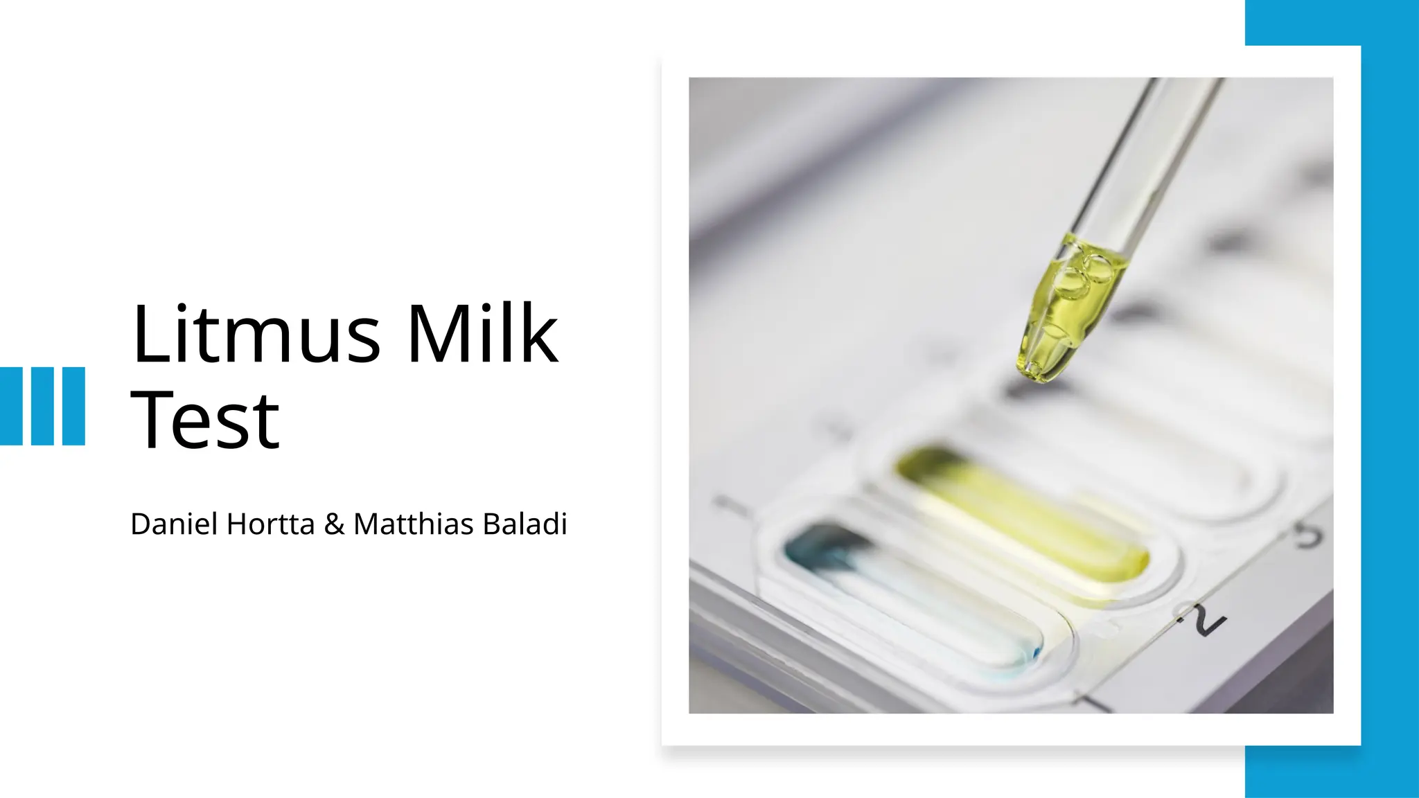 Litmus Milk Test - Biochemical Doc..pptx