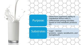 Litmus Milk Test - Biochemical Doc..pptx