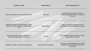 Litmus Milk Test - Biochemical Doc..pptx