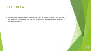 LITOKOMANE_TSA_TICHERE[1][1].pptx