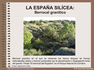 LA ESPAÑA SILÍCEA: Berrocal granítico Berrocal granítico en el que se observan los típicos bloques de formas redondeadas (bolos o domos) producidos por la descamación o disgregación lenta del granito. Paraje “El berrocal del Rugidero” en el Parque Natural de Cornalvo. Prof. Isaac Buzo Sánchez Fuente: elaboración propia 