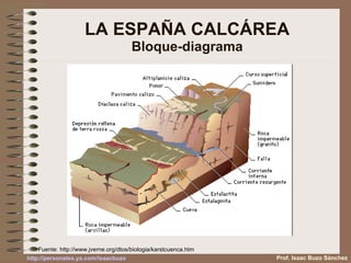 LA ESPAÑA CALCÁREA Bloque-diagrama Prof. Isaac Buzo Sánchez Fuente:  http://www.jverne.org/dtos/biologia/karstcuenca.htm 