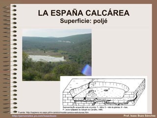 LA ESPAÑA CALCÁREA Superficie: poljé Fuente:  http://sapiens.no.sapo.pt/m-carsico/model-carsico-estruturas.htm Prof. Isaac Buzo Sánchez 