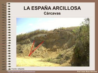 LA ESPAÑA ARCILLOSA
Cárcavas
Prof. Isaac Buzo Sánchez
Fuente: wikipedia
http://personales.ya.com/isaacbuzo
 