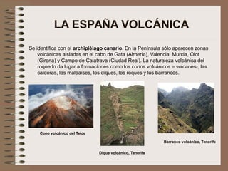 LA ESPAÑA VOLCÁNICA
Se identifica con el archipiélago canario. En la Península sólo aparecen zonas
volcánicas aisladas en el cabo de Gata (Almería), Valencia, Murcia, Olot
(Girona) y Campo de Calatrava (Ciudad Real). La naturaleza volcánica del
roquedo da lugar a formaciones como los conos volcánicos – volcanes-, las
calderas, los malpaíses, los diques, los roques y los barrancos.
Cono volcánico del Teide
Dique volcánico, Tenerife
Barranco volcánico, Tenerife
 
