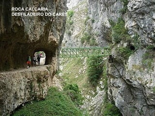 CALIZA ROCA CALCARIA DESFILADEIRO DO   CARES 