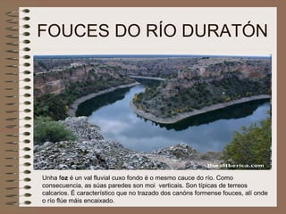 FOUCES DO RÍO DURATÓN Unha f oz  é un val fluvial cuxo fondo é o mesmo cauce do río. Como consecuencia, as súas paredes son moi  verticais. Son típicas de terreos calcarios. É característico que no trazado dos canóns formense fouces, alí onde o río flúe máis encaixado.  