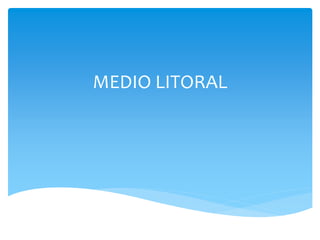 MEDIO LITORAL
 