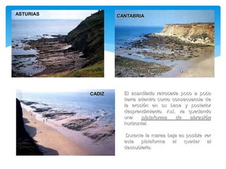 El acantilado retrocede poco a poco
tierra adentro como consecuencia de
la erosión en su base y posterior
desprendimiento. Así, va quedando
una plataforma de abrasión
horizontal.
Durante la marea baja es posible ver
esta plataforma al quedar al
descubierto.
ASTURIAS CANTABRIA
CADIZ
 