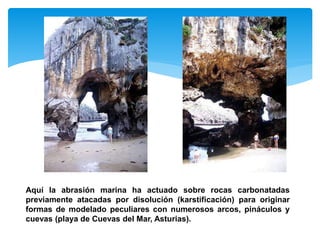 Aquí la abrasión marina ha actuado sobre rocas carbonatadas
previamente atacadas por disolución (karstificación) para originar
formas de modelado peculiares con numerosos arcos, pináculos y
cuevas (playa de Cuevas del Mar, Asturias).
 