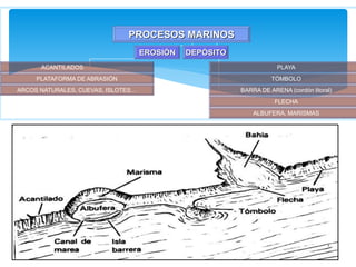 PROCESOS MARINOS
EROSIÓN DEPÓSITO
ACANTILADOS
PLATAFORMA DE ABRASIÓN
ARCOS NATURALES, CUEVAS, ISLOTES…
PLAYA
TÓMBOLO
BARRA DE ARENA (cordón litoral)
FLECHA
ALBUFERA, MARISMAS
 