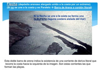 Flecha (depósito arenoso alargado unido a la costa por un extremo).
(Si no se une a la costa y es Paralelo  Barra de Arena o cordón litoral)
Esta doble barra de arena indica la existencia de una corriente de deriva litoral que
recorre la costa hacia la izquierda de la imagen. Son estas corrientes las que
forman las playas.
Si la flecha se une a la costa se forma una
ALBUFERA (laguna costera aislada del mar)
 