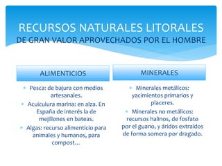 RECURSOS NATURALES LITORALES
DE GRAN VALOR APROVECHADOS POR EL HOMBRE
ALIMENTICIOS
 Pesca: de bajura con medios
artesanales.
 Acuiculura marina: en alza. En
España de interés la de
mejillones en bateas.
 Algas: recurso alimenticio para
animales y humanos, para
compost…
MINERALES
 Minerales metálicos:
yacimientos primarios y
placeres.
 Minerales no metálicos:
recursos halinos, de fosfato
por el guano, y áridos extraídos
de forma somera por dragado.
 