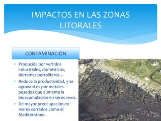 IMPACTOS EN LAS ZONAS
LITORALES
CONTAMINACIÓN
 Producida por vertidos
industriales, domésticos,
derrames petrolíferos…
 Reduce la productividad, y se
agrava si es por metales
pesados que aumenta la
bioacumulación en seres vivos.
 De mayor preocupación en
mares cerrados como el
Mediterráneo.
 