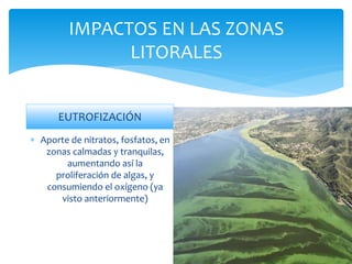 IMPACTOS EN LAS ZONAS
LITORALES
EUTROFIZACIÓN
 Aporte de nitratos, fosfatos, en
zonas calmadas y tranquilas,
aumentando así la
proliferación de algas, y
consumiendo el oxígeno (ya
visto anteriormente)
 