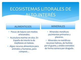 ECOSISTEMAS LITORALES DE
ALTO INTERÉS
ALIMENTICIOS
 Pesca: de bajura con medios
artesanales.
 Acuiculura marina: en alza. En
España de interés la de
mejillones en bateas.
 Algas: recurso alimenticio para
animales y humanos, para
compost…
MINERALES
 Minerales metálicos:
yacimientos primarios y
placeres.
 Minerales no metálicos:
recursos halinos, de fosfato
por el guano, y áridos extraídos
de forma somera por dragado.
 