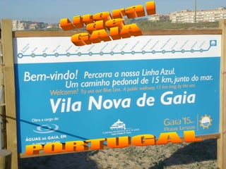 Litoral de GAIA PORTUGAL 