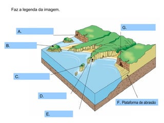 Faz a legenda da imagem. A. B. C. D. E. F.  Plataforma de abrasão G. 