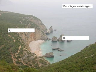 Faz a legenda da imagem. A.  B.  