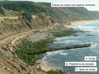 Coloca as caixas nos lugares correctos. A. Arriba B. Plataforma de abrasão  C. Base da arriba 
