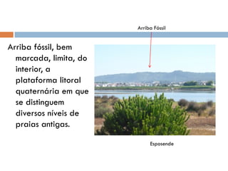 Litoral PortuguêS
