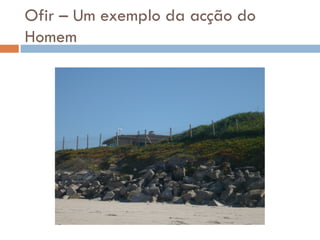 Litoral PortuguêS