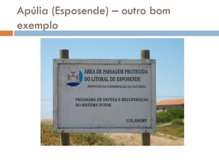 Litoral PortuguêS