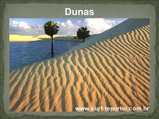 Dunas
 