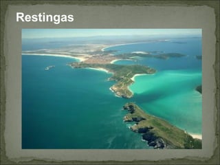  Restingas
 