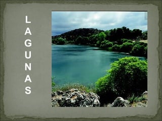 L
A
G
U
N
A
S
 