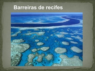 Barreiras de recifes
 