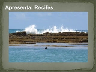 Apresenta: Recifes
 