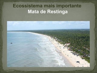 Ecossistema mais importante
      Mata de Restinga
 