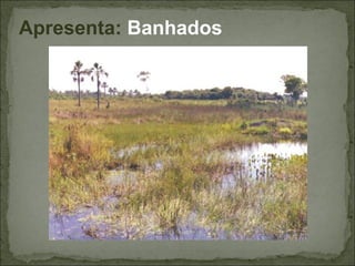 Apresenta: Banhados
 